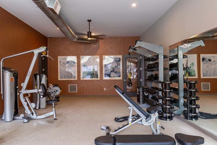 the home gym has plenty of equipment including weights and cardio machines
