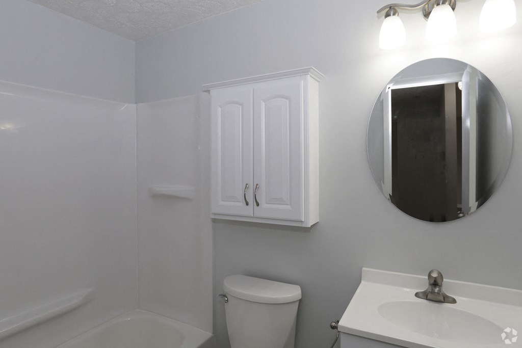 a bathroom with a sink toilet and a mirror and a cabinet