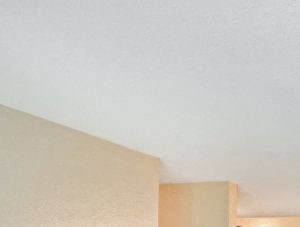 staged living/dining room - Photo Gallery 2