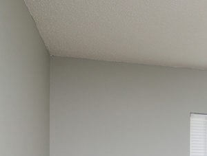 bedroom and closet