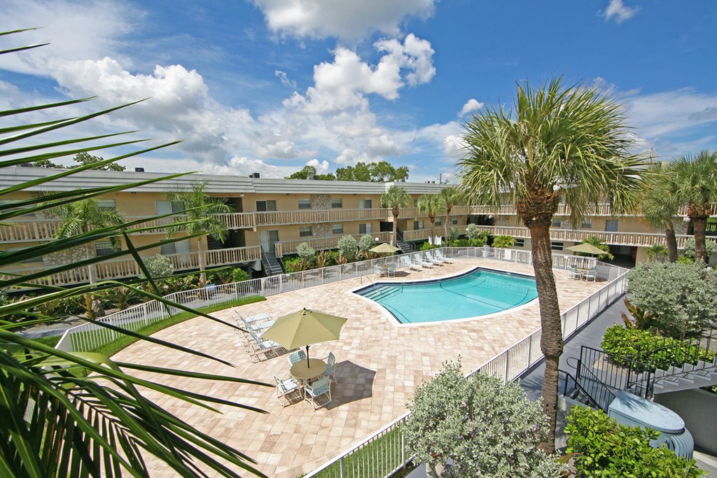 a view of a resort style pool with a palm tree