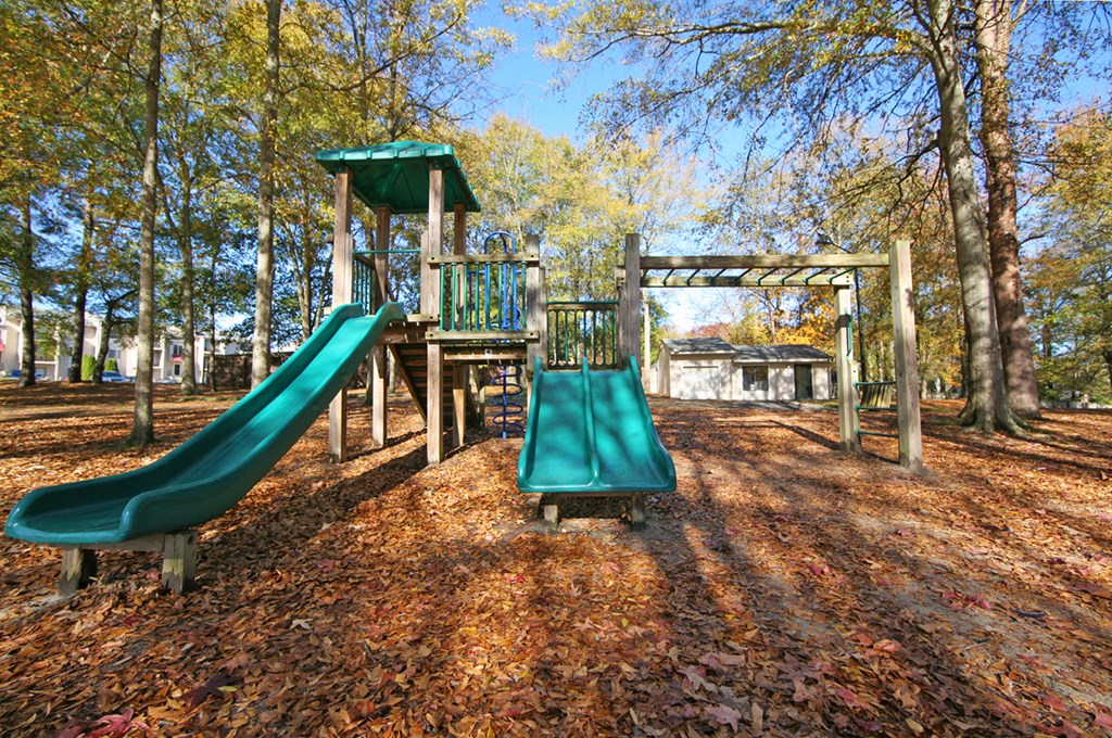 playgrounds at the preserve at greenidge park