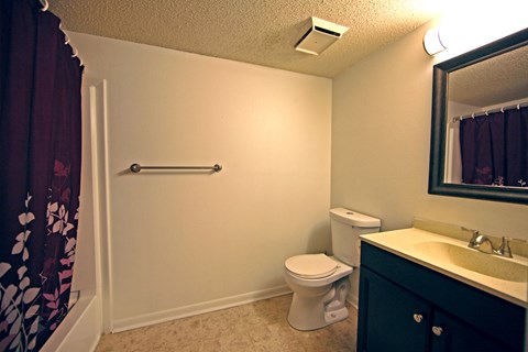 a bathroom with a toilet and a sink and a mirror