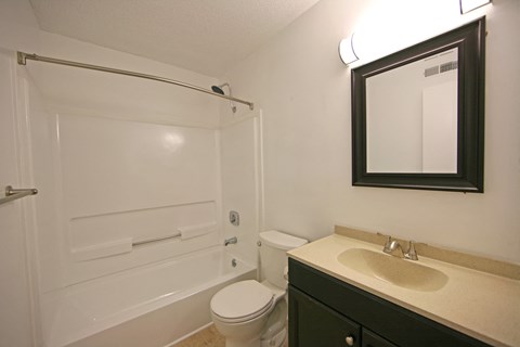 a bathroom with a shower toilet and sink and a mirror