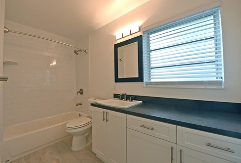 a bathroom with a sink and a toilet and a bath tub