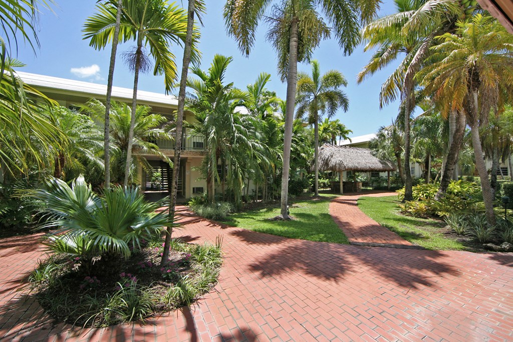 a courtyard with palm trees and a house