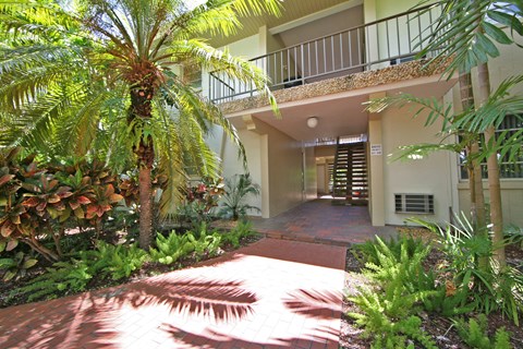 a view of the entrance to a house with a palm tree