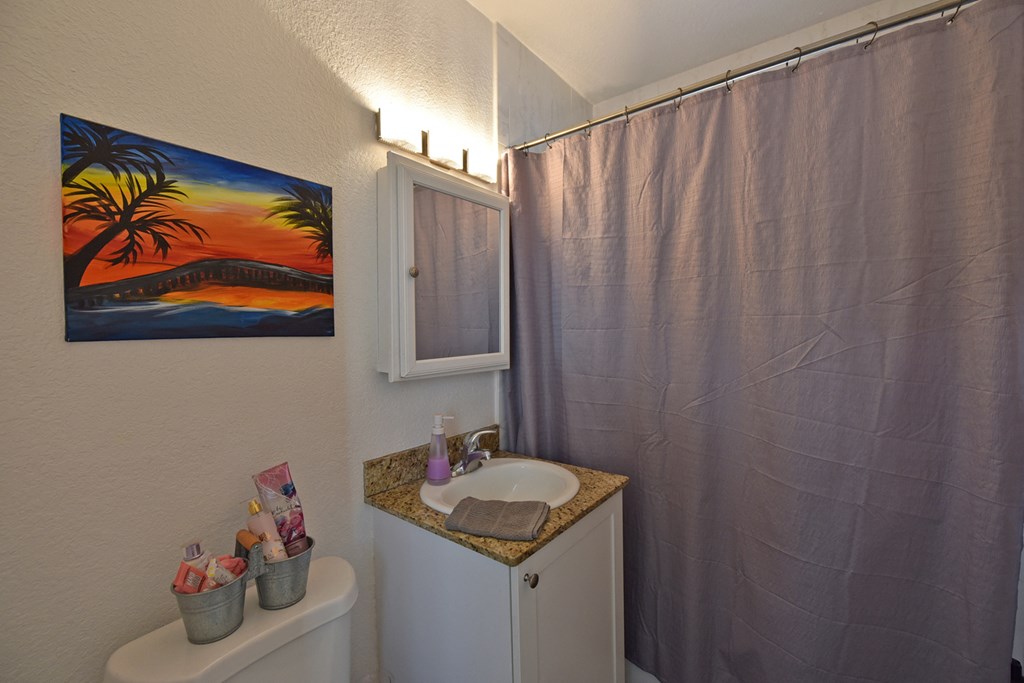 a bathroom with a shower and a sink and a shower curtain