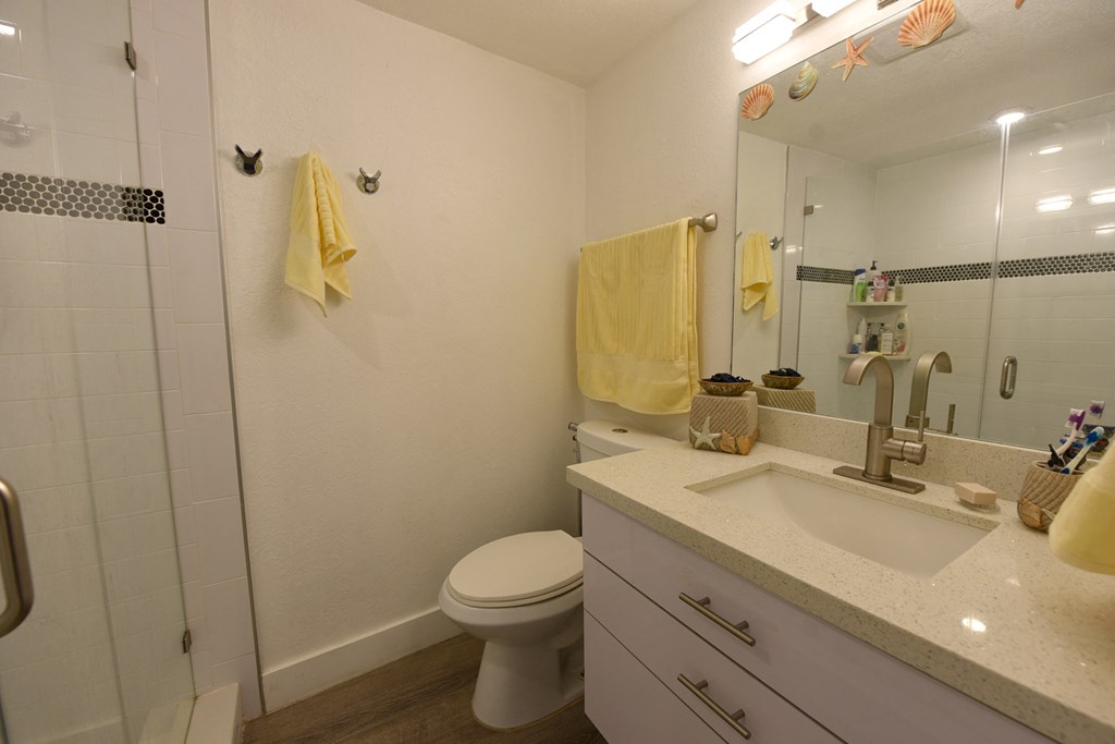 a bathroom with a sink and a toilet and a shower
