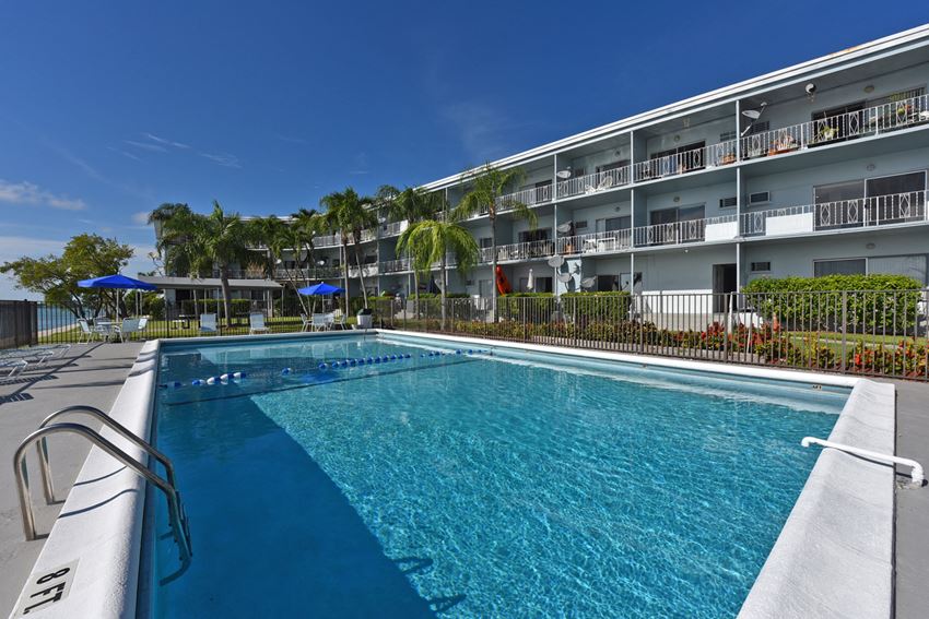 the pool at the resort on longboat key