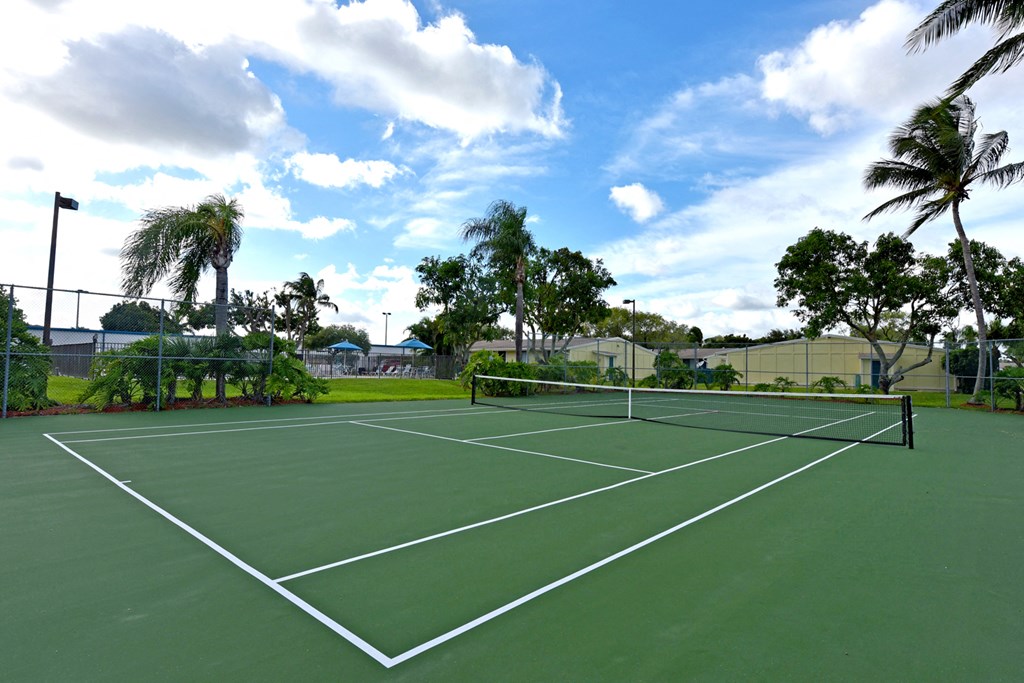 a tennis court with palm trees and a fence around it