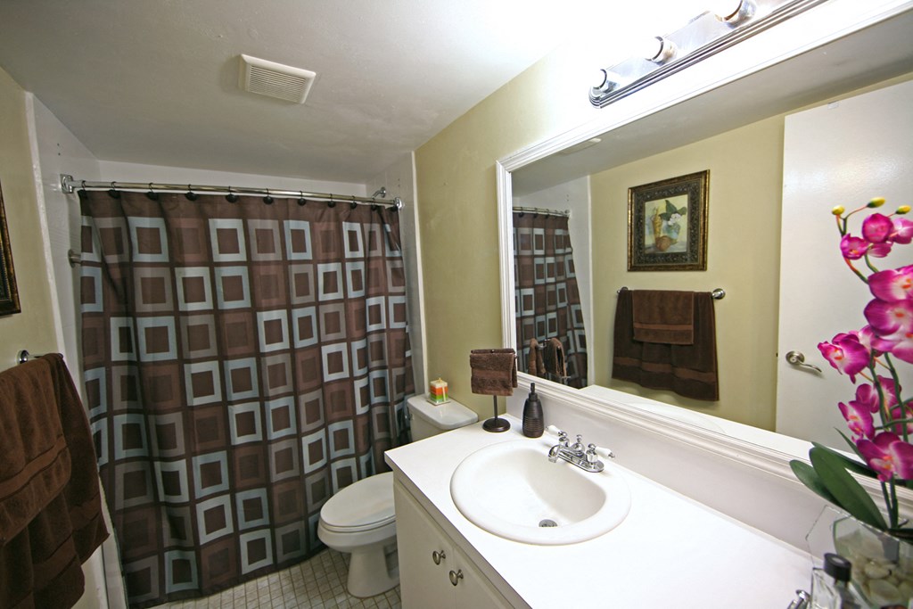 a bathroom with a sink and a shower and a toilet