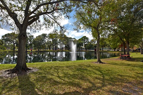 a park with a lake and a fountain