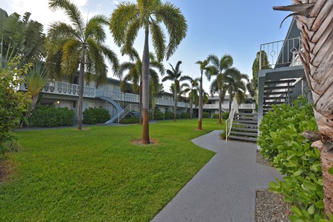 a courtyard with grass and palm trees and a building with stairs
