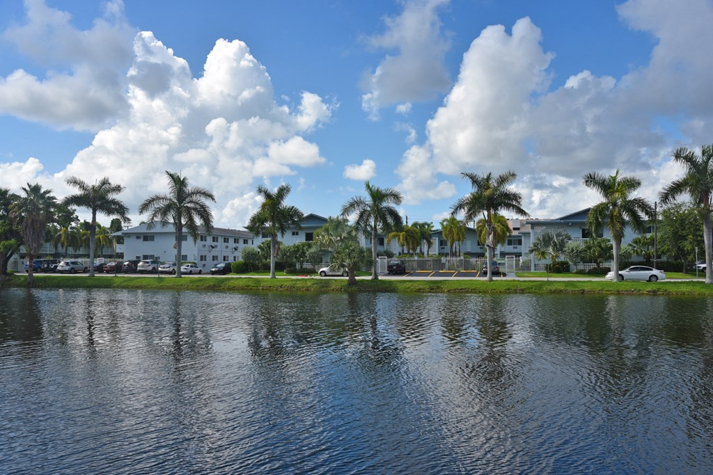 a view of a body of water with palm trees