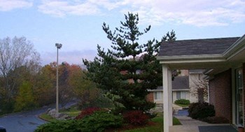 102 Baylor Street 2-4 Beds Apartment, Townhouse, Affordable for Rent - Photo Gallery 4