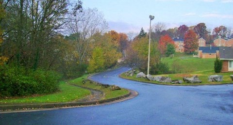 a street with a road and some trees and houses