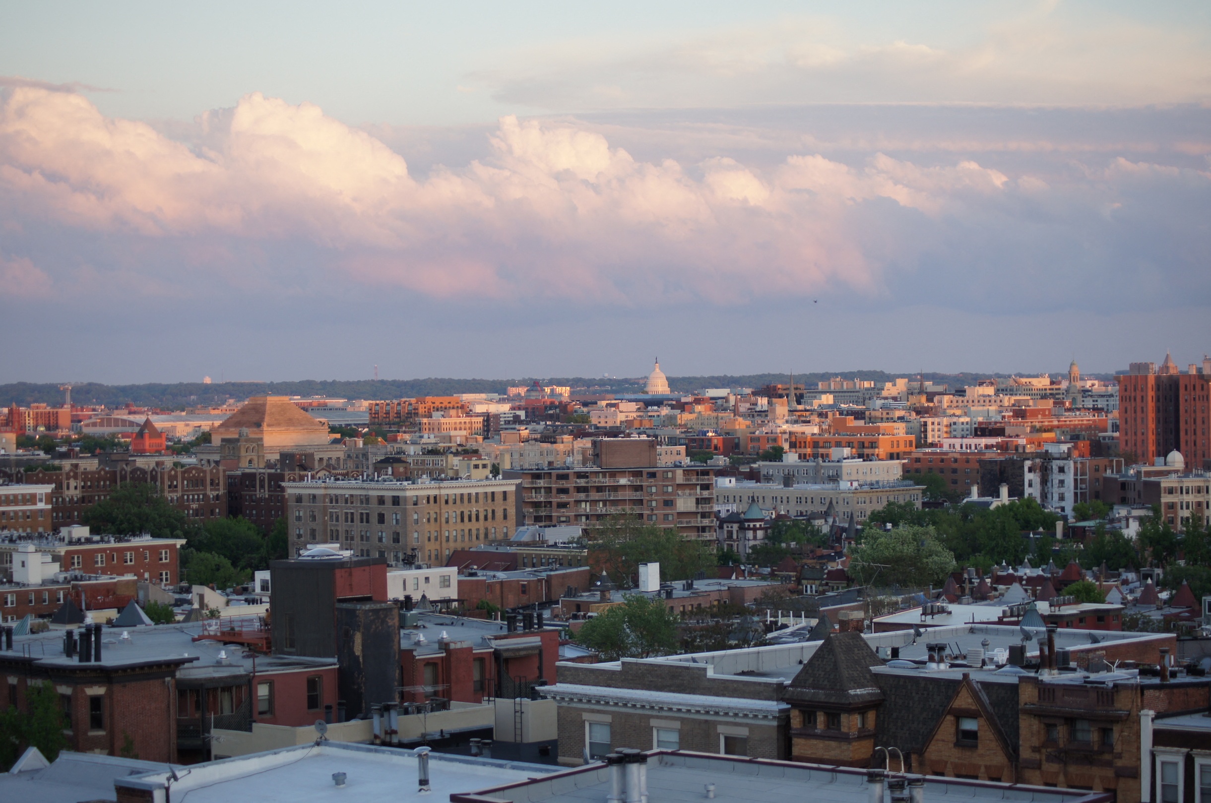 rooftop view of Washington D.C.