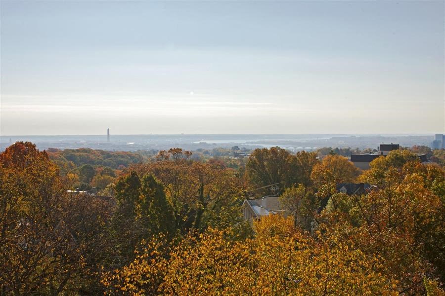 the view of the city and the ocean from a hill