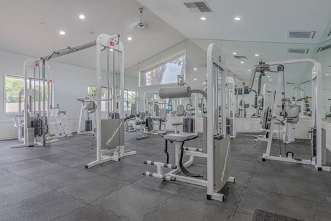 A gym with a variety of equipment including treadmills, weights, and exercise machines.