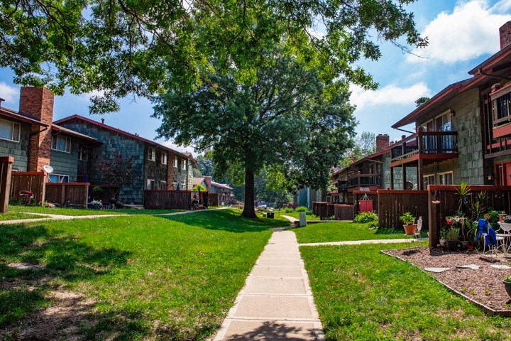 a row of houses with grass and trees and a sidewalk
