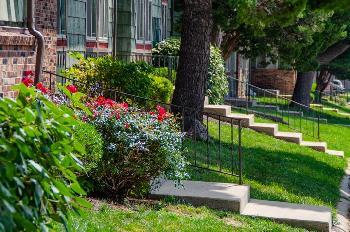 a yard with stairs and flowers in front of a house