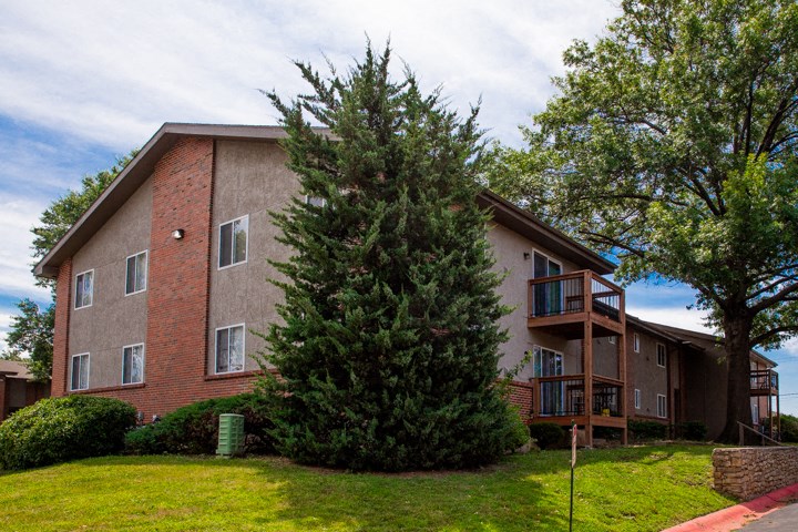 a large tree in front of an apartment building