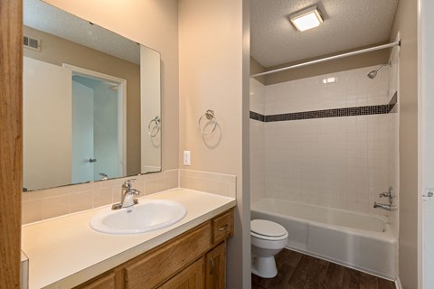 a bathroom with a sink toilet and shower and a mirror