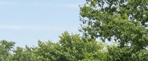 The Oaks Apartments In Lee S Summit Mo
