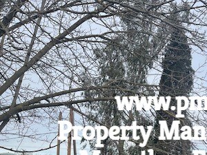 55 Jack Tone Rd 2 Beds House for Rent - Photo Gallery 2
