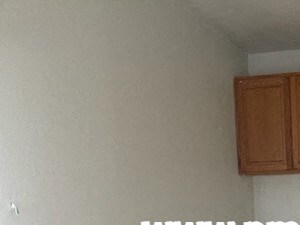 55 Jack Tone Rd 2 Beds House for Rent - Photo Gallery 3
