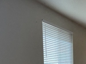 4212 Red Oak Lane 5 Beds House for Rent - Photo Gallery 4