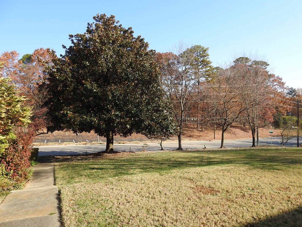 a sidewalk in a park next to a tree