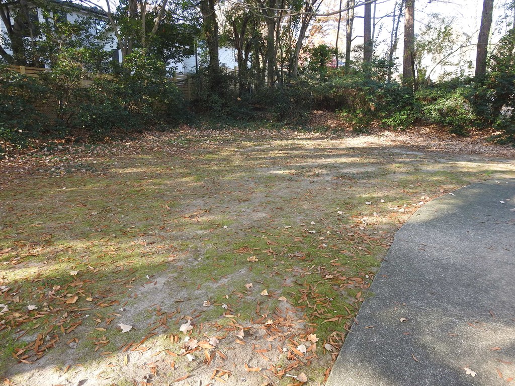 a grassy area with trees and a sidewalk
