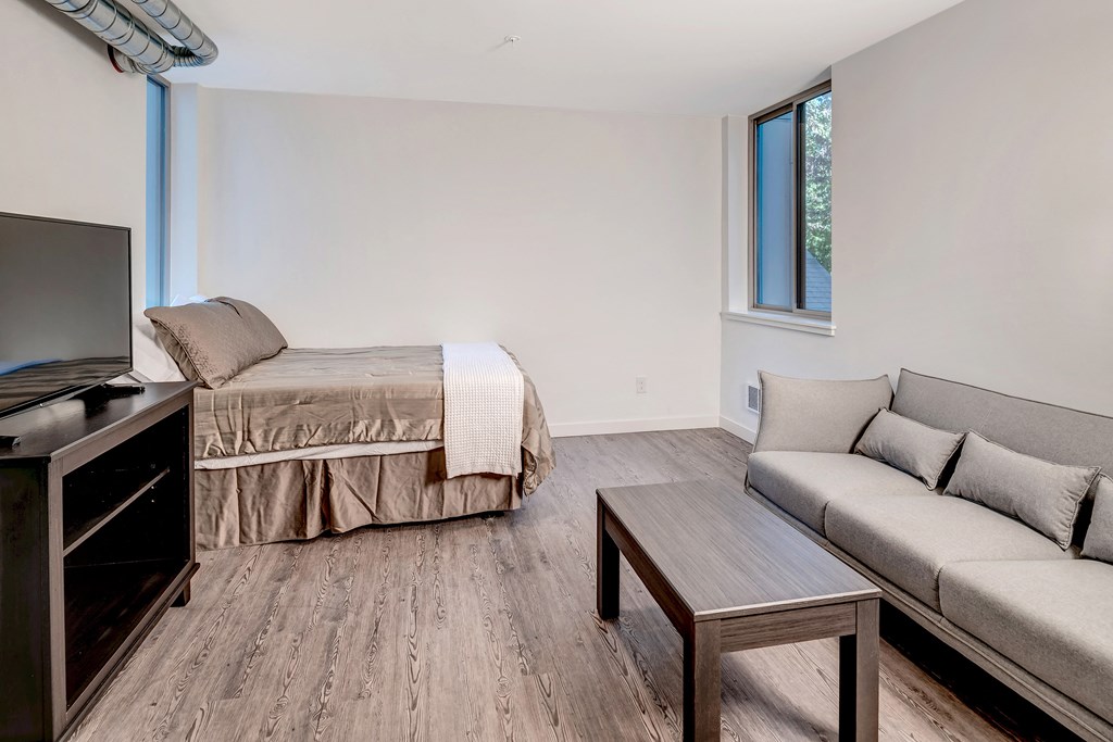 a living room with a couch and a bed and a tv