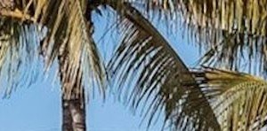 727 S Pine St Lake Worth Fl 33460 Apartments 727 S Pine St Lake Worth Fl Rentcafe