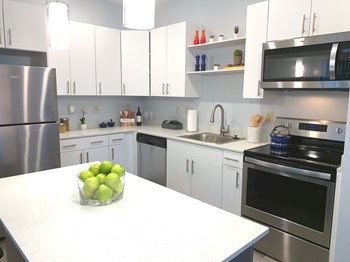 3 Gilbert Drive 1-2 Beds Apartment for Rent - Photo Gallery 4