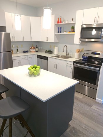 3 Gilbert Drive 1-2 Beds Apartment for Rent - Photo Gallery 3