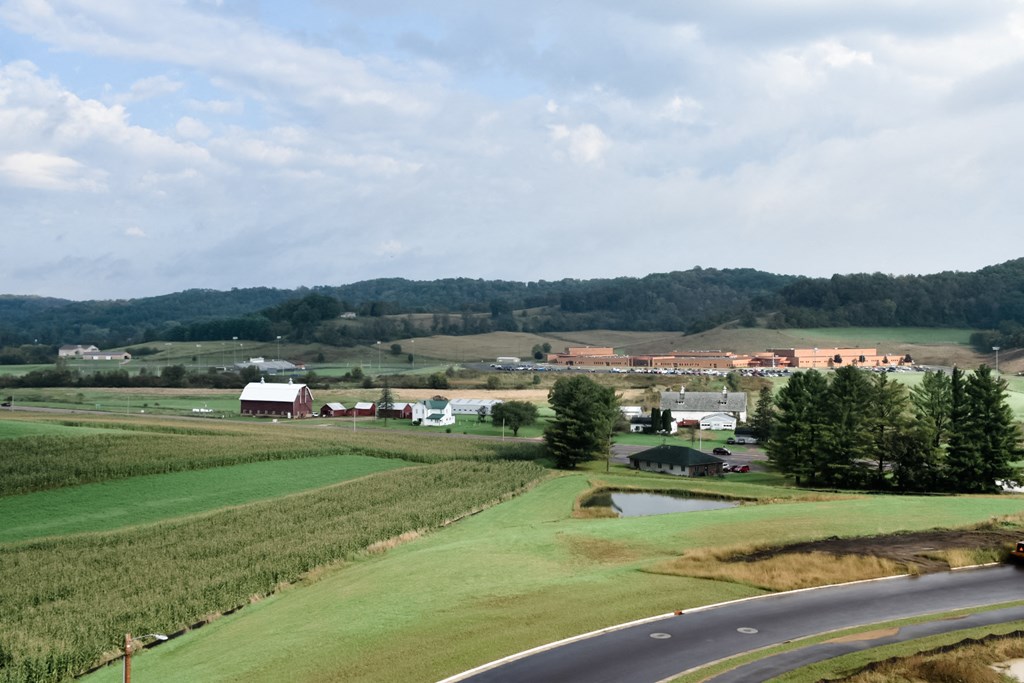 a view of a farm with a road in the foreground