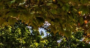 Latitudes Apartments Apartments In Virginia Beach Va