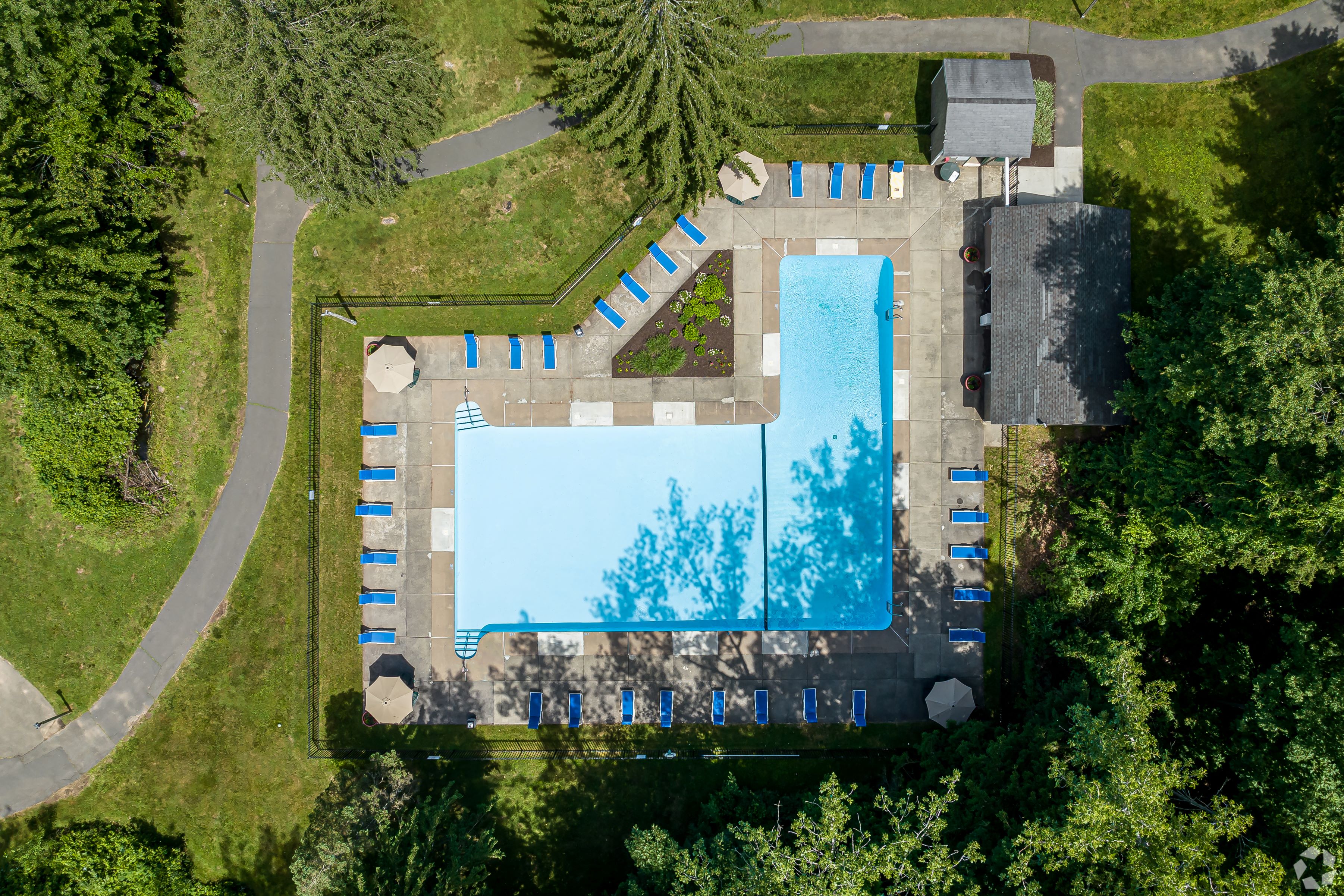 arial view of a swimming pool in a backyard with trees