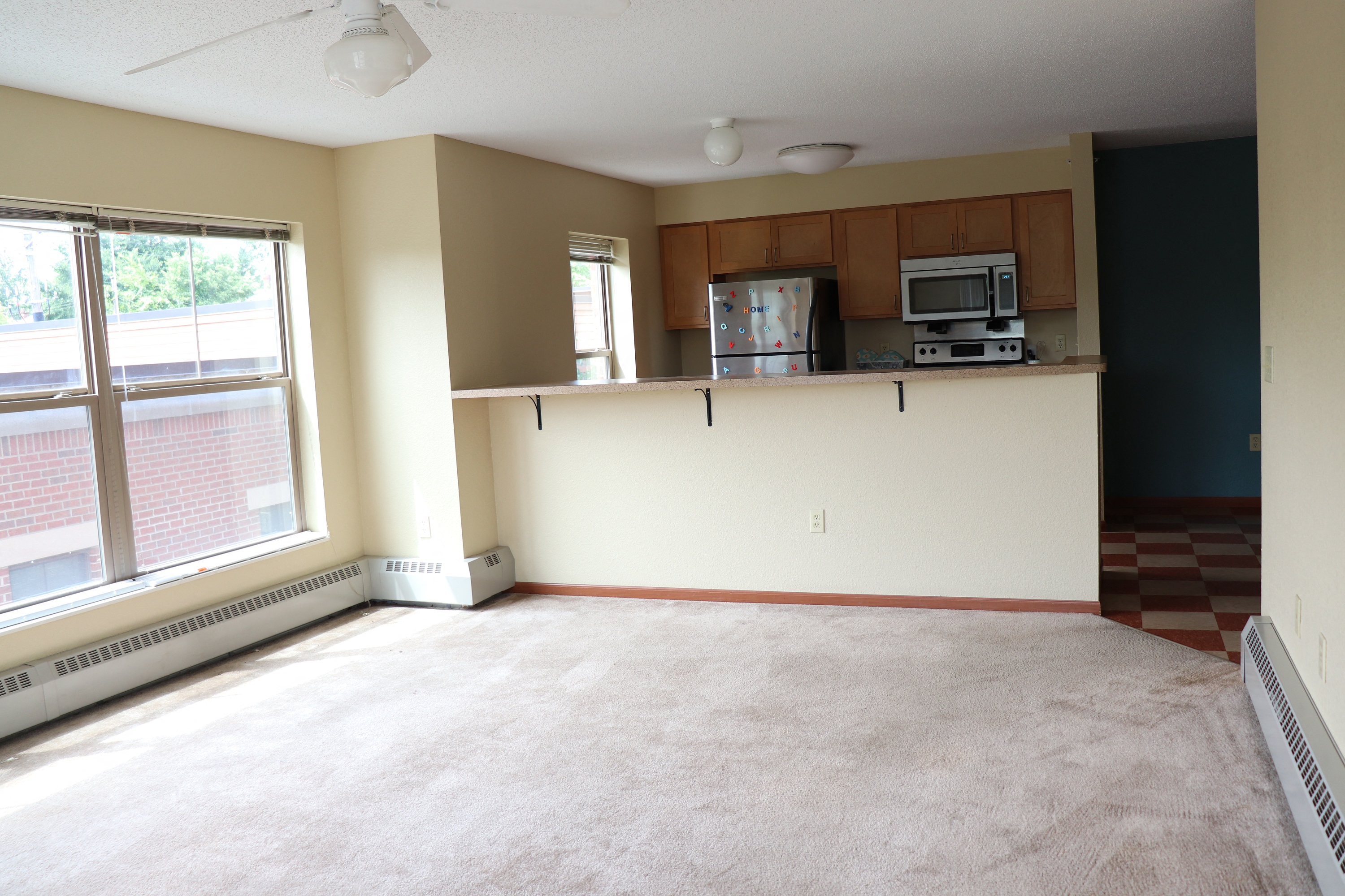 Living Area and Kitchen