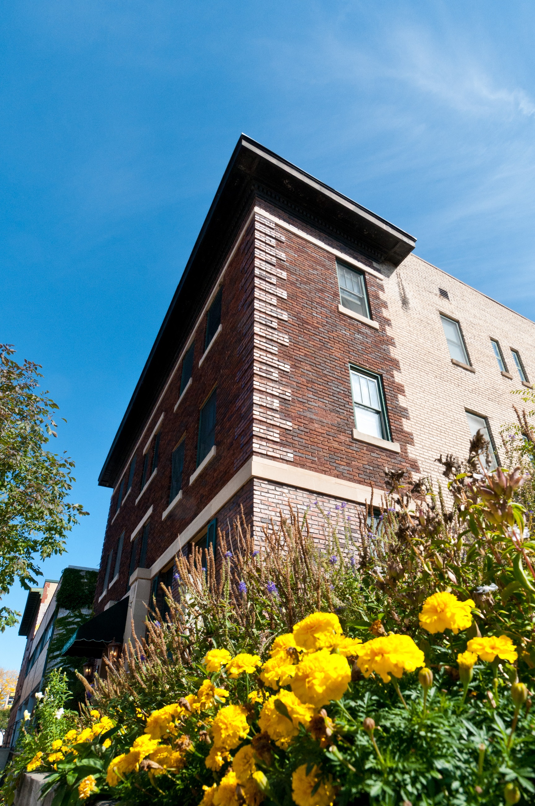 The Barrington Apartments, 911 Park Ave S., Minneapolis, MN RentCafe