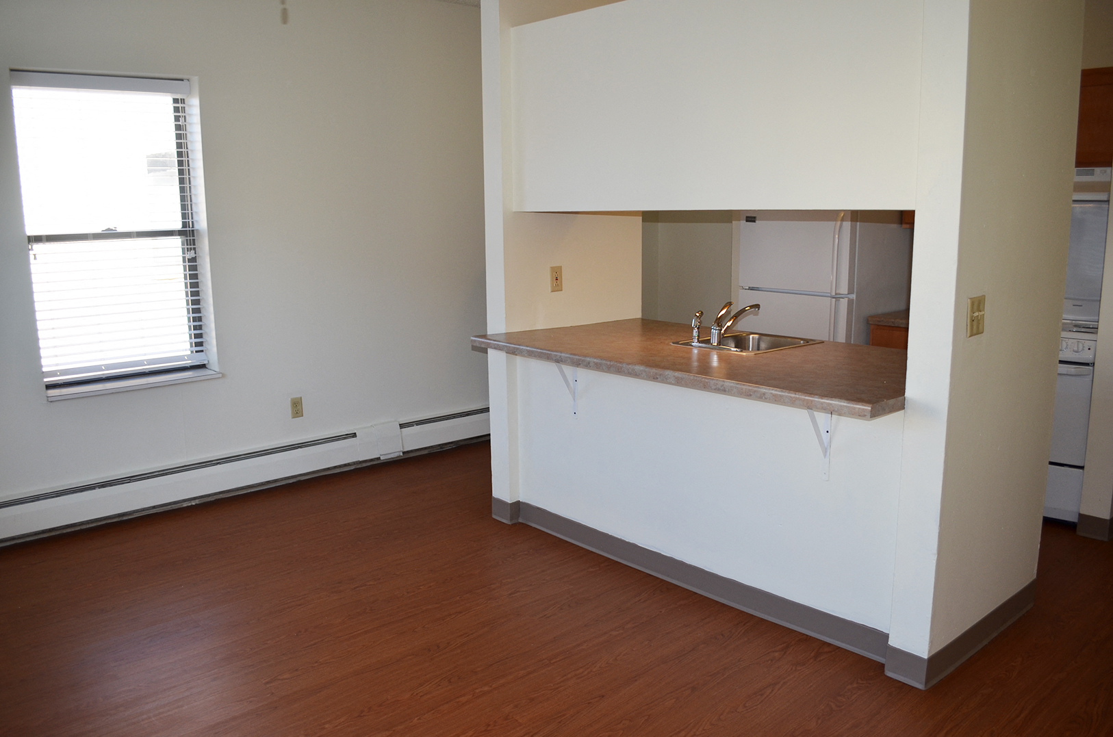 Living Area and Kitchen