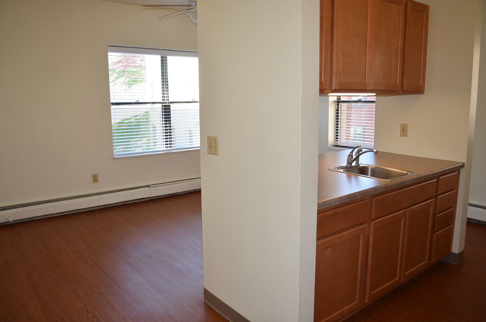 Living Area and Kitchen