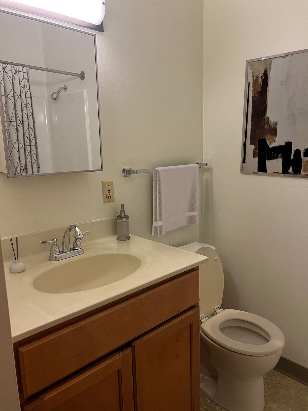 a bathroom with a sink and a toilet and a mirror