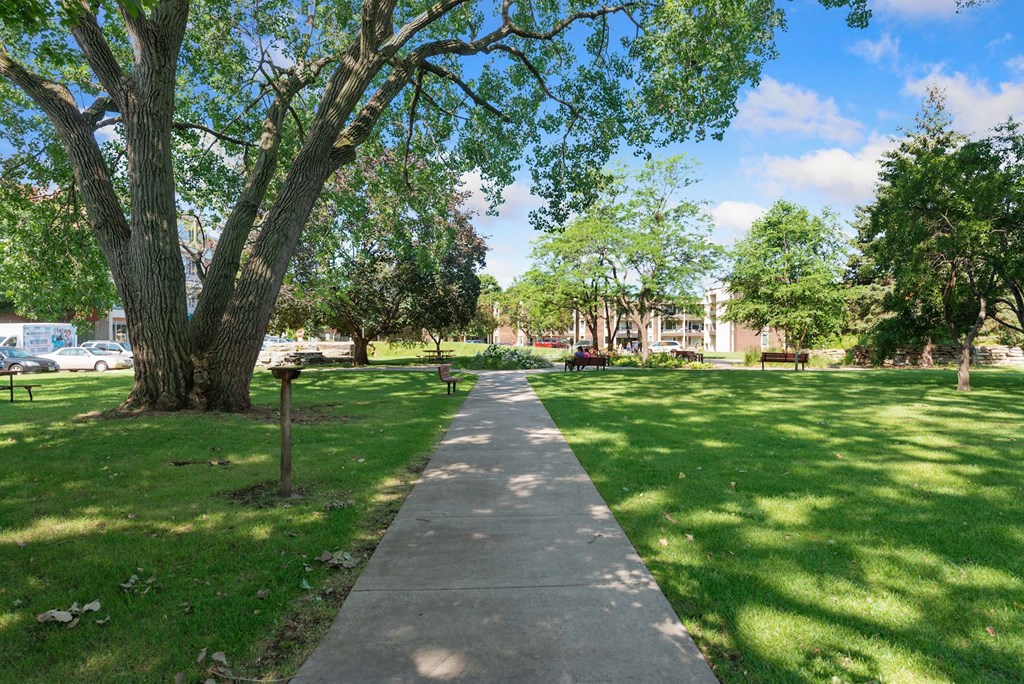 A walkway leads through a park with a large tree on the left at Humboldt Senior 55+ Apartments, Saint Paul, Minnesota