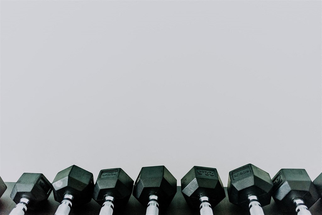 a row of dumbbells in front of a white background