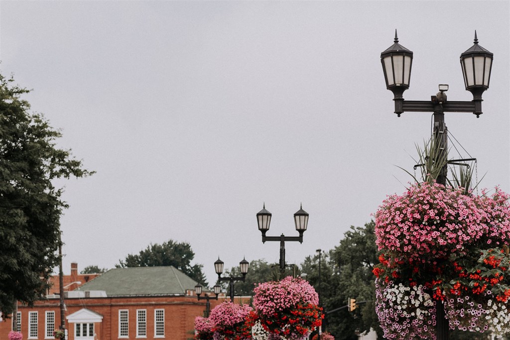 a city street with flowers and street lights