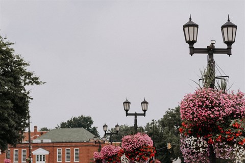 a city street with flowers and street lights